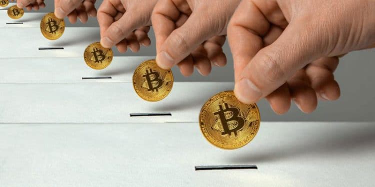 ONG criptomonedas