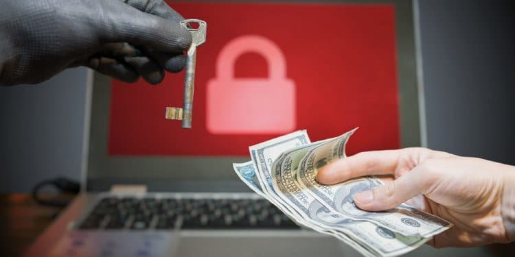 Imagen destacada por  vchalup/stock.adobe.com