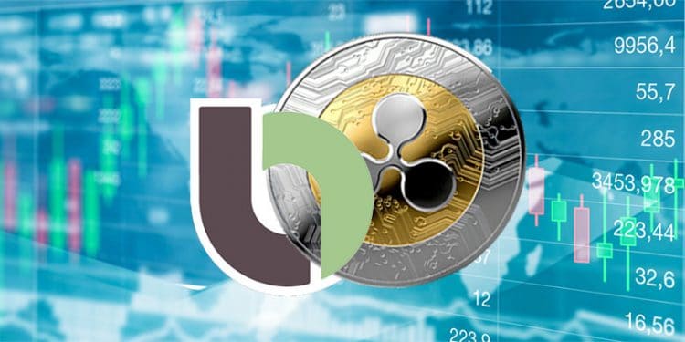 ripple-bitso-inversión