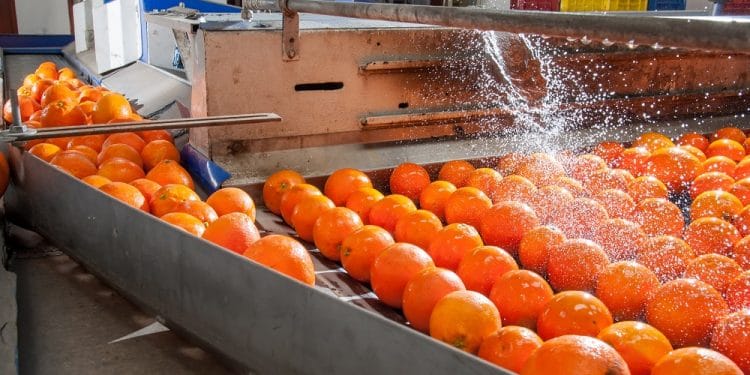 Imagen destacada por siculodoc/stock.adobe.com