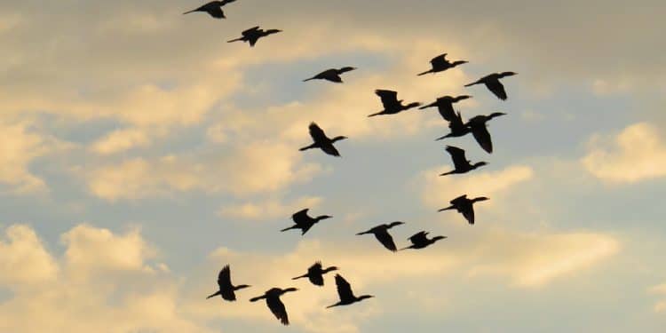 Imagen destacada por Virglio/stock.adobe.com
