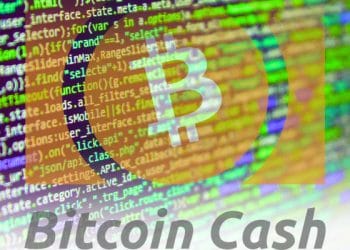 bitcoin-cash-firmas-schnorr