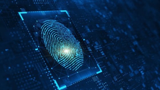 Españoles reaccionan al decreto que pone freno a la identidad digital descentralizada