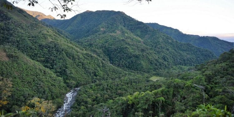 Amazonas