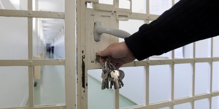 Imagen destacada por bibiphoto/stock.adobe.com