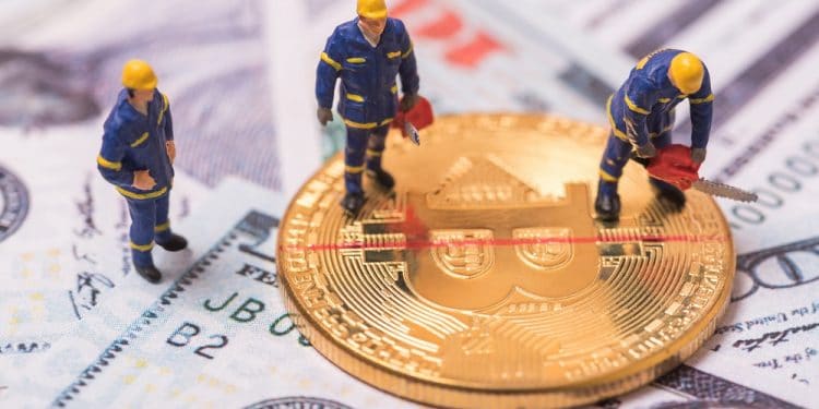 Imagen destacada por kwanchaift/stock.adobe.com