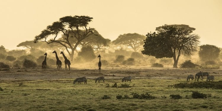 Imagen destacada por apinz/stock.adobe.com