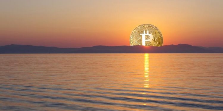 conocí-bitcoin-2013