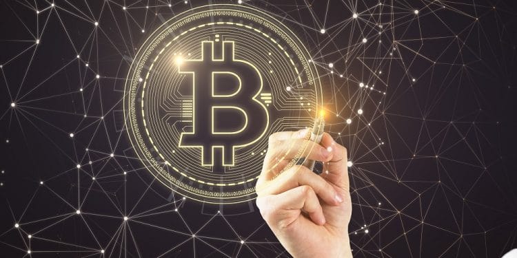 desarrollador-bitcoin-bifurcación-suave