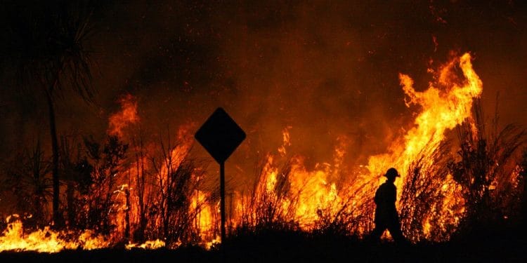 Imagen destacada por VanderWolf Images/stock.adobe.com