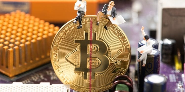 Imagen destacada por kwanchaift/stock.adobe.com