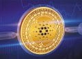 Moneda cardano