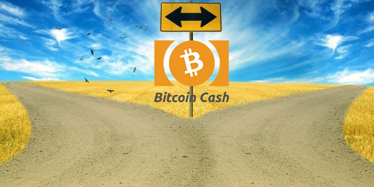 bitcoin cahs bifurcación