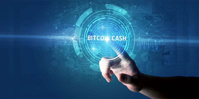 bitcoin cash donaciones mineros