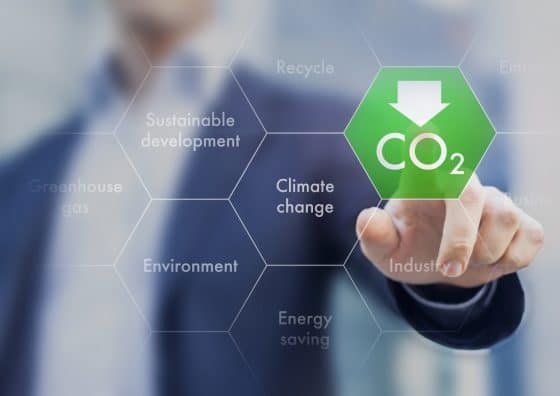Buda pone en marcha programa para reducir el impacto ambiental de bitcoin