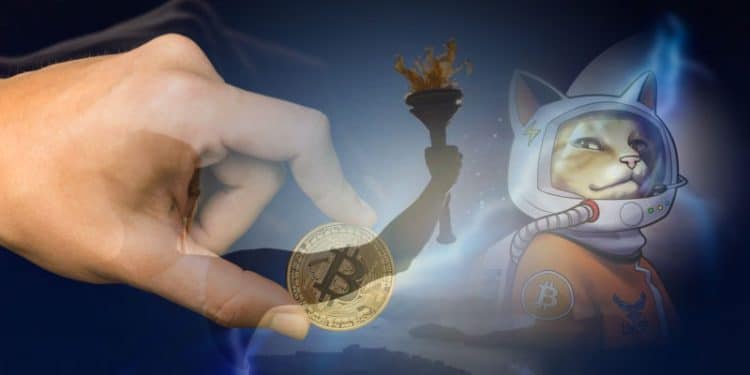 hodlonaut lightning network