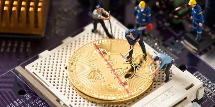 Imagen destacada por kwanchaift/stock.adobe.com