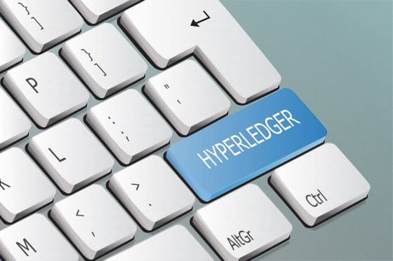 Hyperledger Fabric incorpora seis mejoras con su nueva versión 2.0