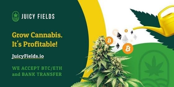 Cultive sus ganancias con la plataforma de financiación de cultivo de cannabis JuicyFields