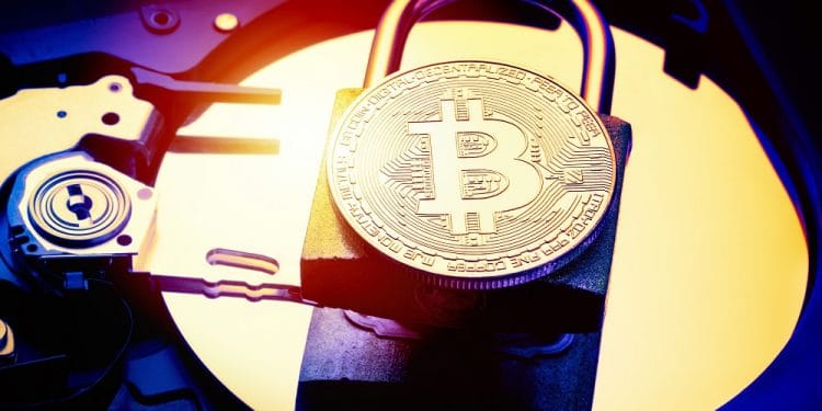 Imagen destacada por Nikolay N. Antonov/stock.adobe.com