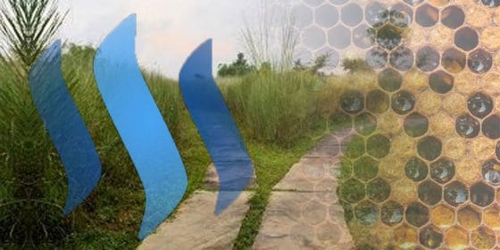 Steem se bifurcó y propietarios de HIVE aguardan para activar el comercio