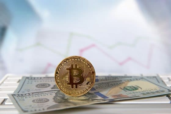 Actividad de las casas de cambio latinas ha crecido durante crisis por coronavirus