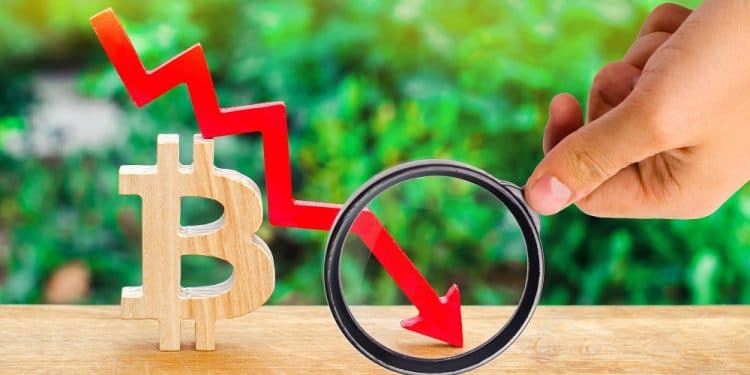 Imagen destacada por Андрей Яланский/stock.adobe.com