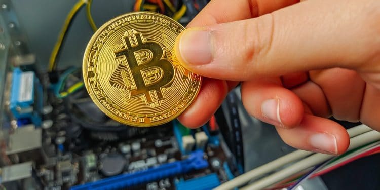 equipos minería halving bitcoin rentabilidad
