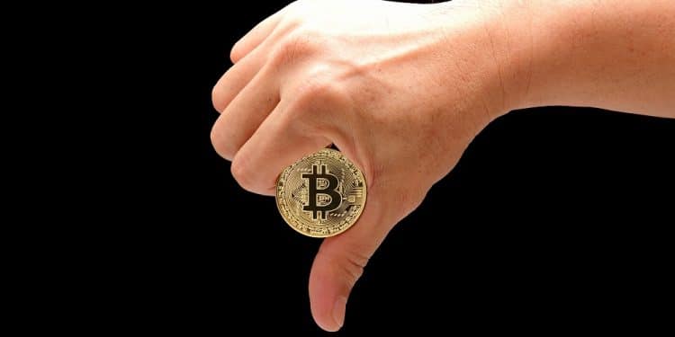 Imagen destacada por lunglee/stock.adobe.com