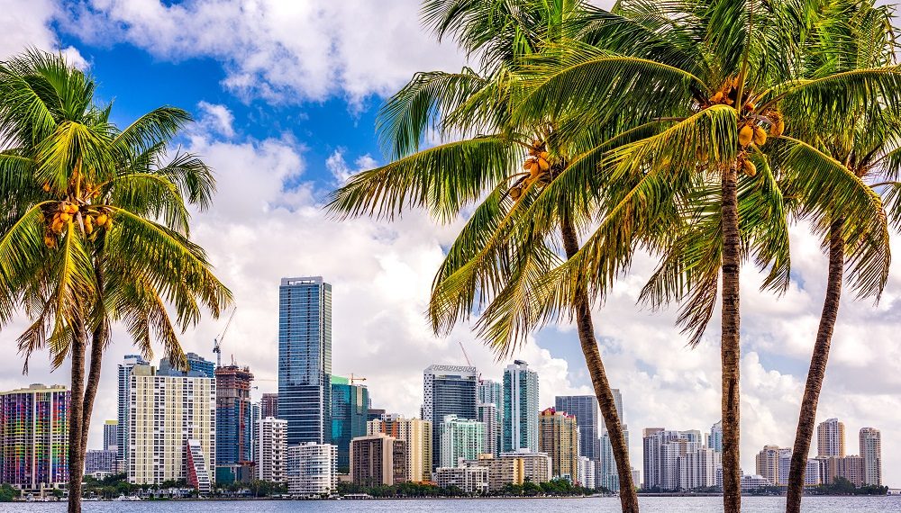 En promedio, un habitante de la ciudad de Miami posee unos USD 10.773 en criptomonedas en su cartera. Fuente:  SeanPavonePhoto/elements.envato.com