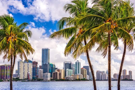 Miami entre las 20 ciudades con más usuarios de criptomonedas en EE. UU.