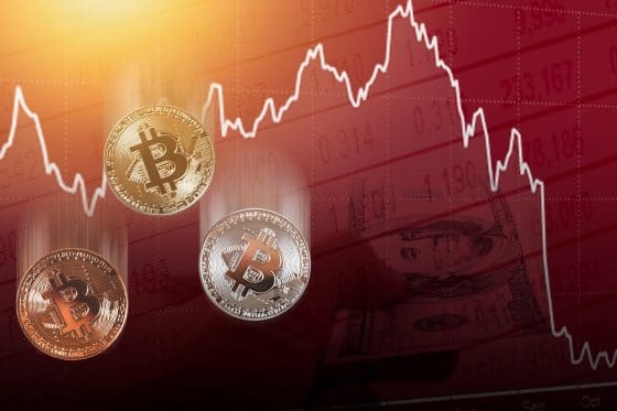 Casas de cambio colapsaron brevemente cuando bitcoin cayó más del 50% en un día