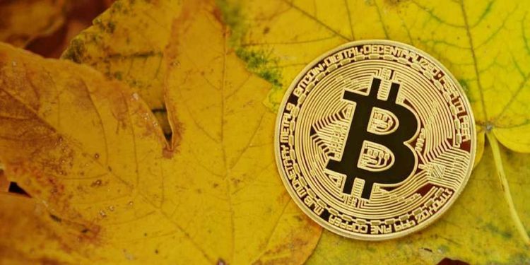 máximo histórico direcciones 1 btc
