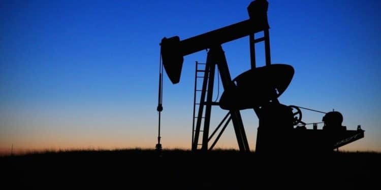 Las bombas de varilla, también conocidas como guanaco, se encargan de extraer petróleo de los pozos. Fuente: drpepperscott230/ Pixabay.com