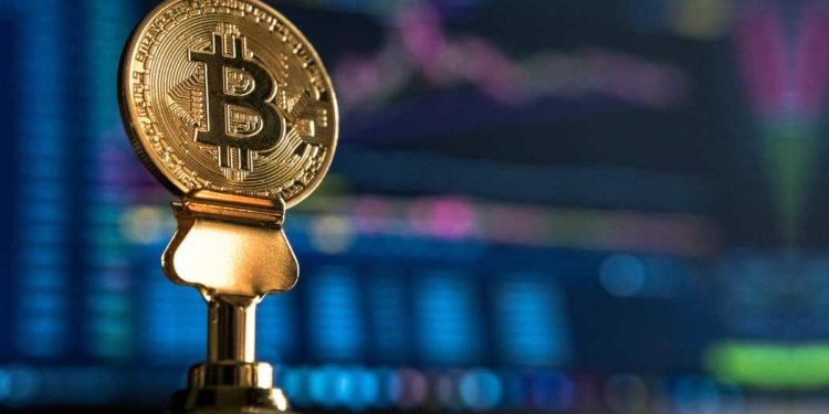 demanda bitcoin halving