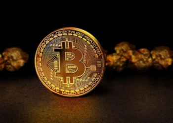 Una moneda bitcoin y oro. Fuente: dapple-designers/ Pixabay.com