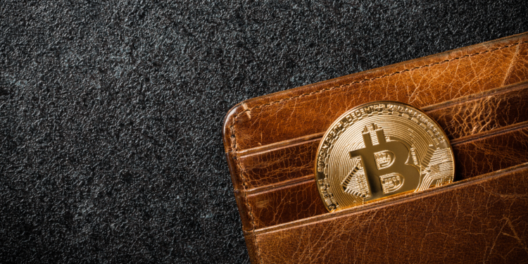 Un monedero con un bitcoin. Fuente:  ff-photo/ Envato Elements