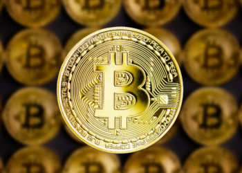 halving bitcoin red estado