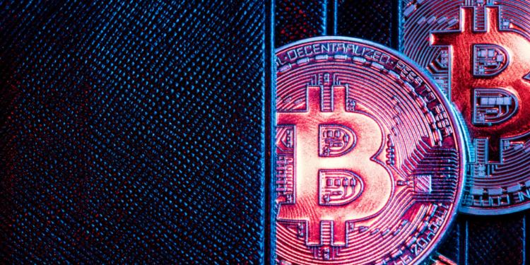bitcoin monedero wanderslab ciberseguridad