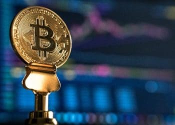 btc-relacion-producción