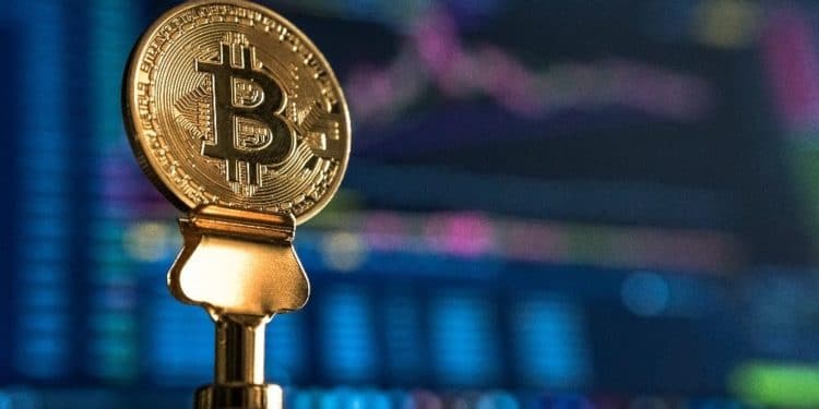 btc-relacion-producción