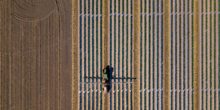 Un vehiculo echando pesticida a una plantación en linea recta. Fuente: wollwerth/ Envato Elements.