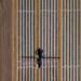 Un vehiculo echando pesticida a una plantación en linea recta. Fuente: wollwerth/ Envato Elements.