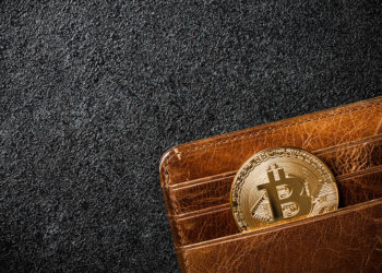 Moneda con el logo de bitcocin colocada dentro de una billetera de cuero. Fuente: ff-photo/Envato Elements