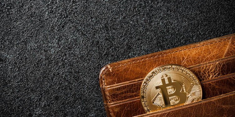 Moneda con el logo de bitcocin colocada dentro de una billetera de cuero. Fuente: ff-photo/Envato Elements