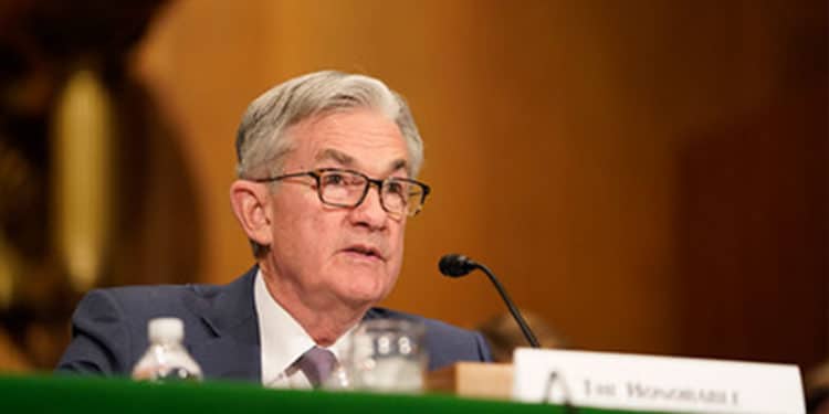 presidente-fed