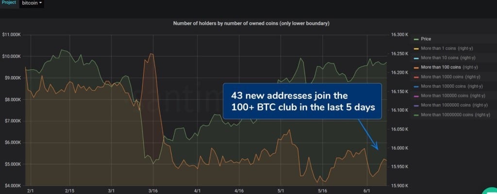 gráfica-100-BTC