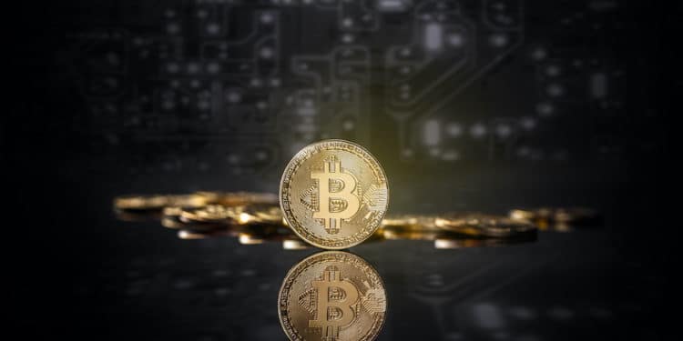 Una moneda física de Bitcoin parada frente a otras y un fondo oscuro de circuito. Fuente: Envato Elements.