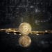Una moneda física de Bitcoin parada frente a otras y un fondo oscuro de circuito. Fuente: Envato Elements.