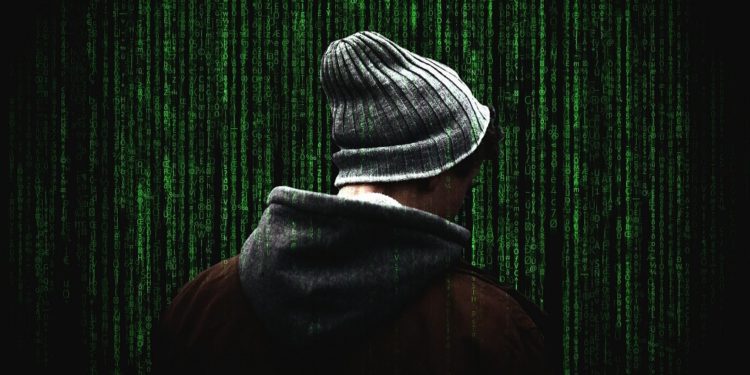testnets seguridad red